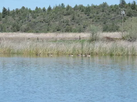 25403 Glenburn Rd, Fall River Mills, CA 96028 photo 24
