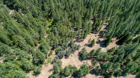 16992 Phillips Rd, Oak Run, CA 96069 photo 24