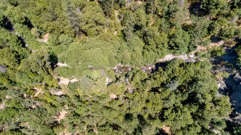 16992 Phillips Rd, Oak Run, CA 96069 photo 21