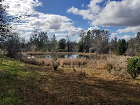21190 Deer Springs Rd, Manton, CA 96059 photo 10