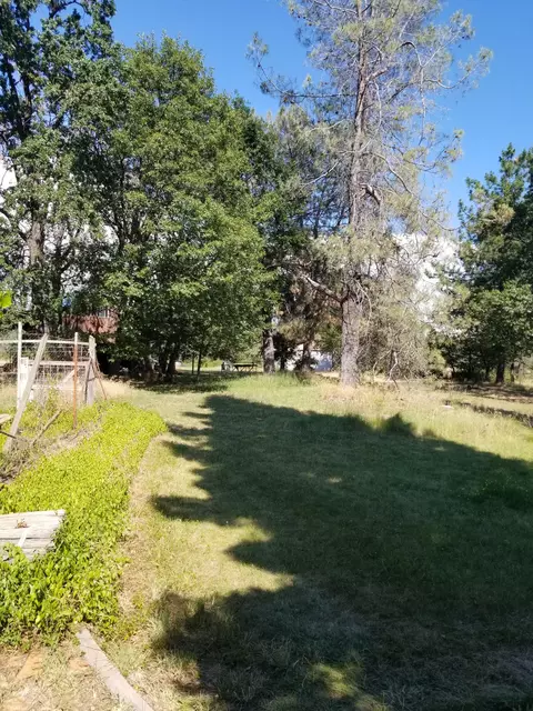 21190 Deer Springs Rd, Manton, CA 96059 photo 3