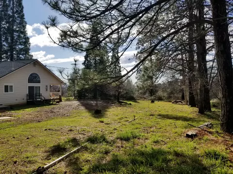 21190 Deer Springs Rd, Manton, CA 96059 photo 5