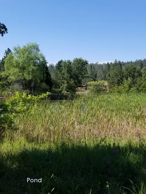 21190 Deer Springs Rd, Manton, CA 96059 photo 11