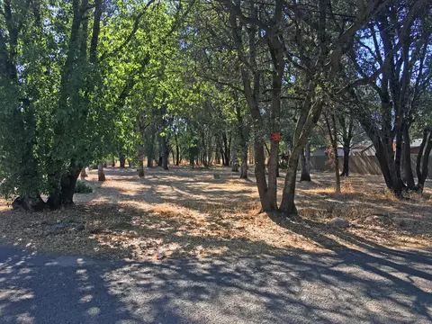 3210 Leonard St, Redding, CA 96002 photo 3
