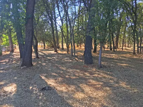 3210 Leonard St, Redding, CA 96002 photo 6