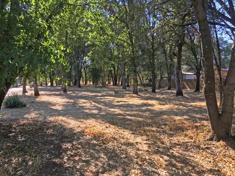 3210 Leonard St, Redding, CA 96002 photo 1