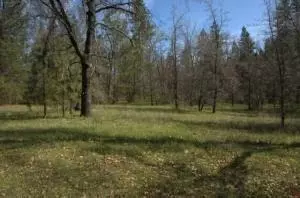 27723 Donkey Mine Rd, Oak Run, CA 96069 photo 1