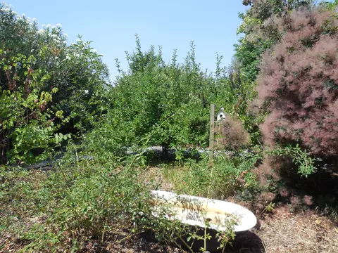 5231 Dino Dr, Anderson, CA 96007 photo 6