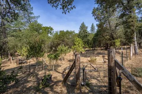 20528 Terri Lee, Redding, CA 96003 photo 33