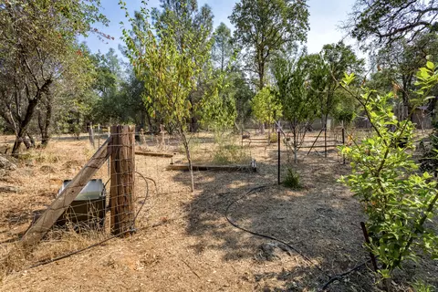 20528 Terri Lee, Redding, CA 96003 photo 36