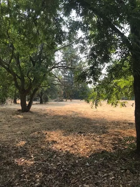 4910 Alta Mesa Dr, Redding, CA 96002 photo 39