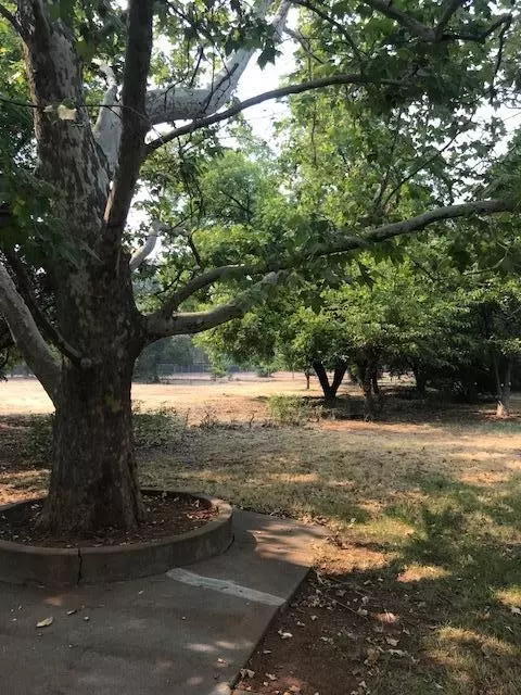 4910 Alta Mesa Dr, Redding, CA 96002 photo 37