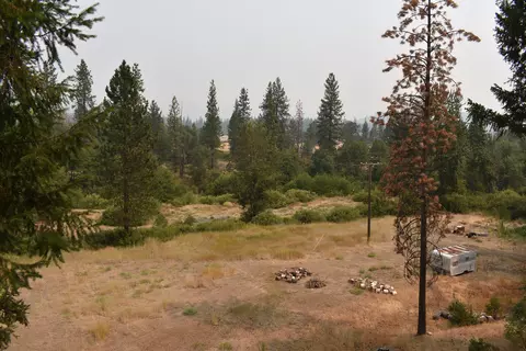 2129 Morgan Hill Rd, Hayfork, CA 96041 photo 24