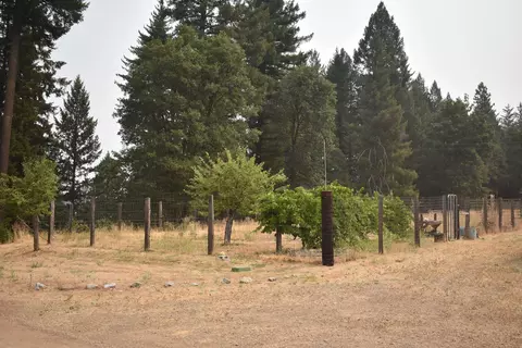 2129 Morgan Hill Rd, Hayfork, CA 96041 photo 36