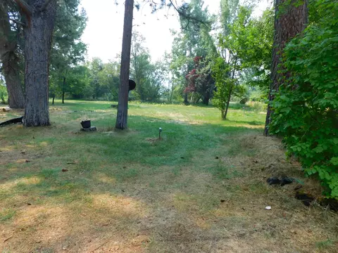 42491 Wilcox Rd, Hat Creek, CA 96040 photo 2