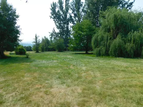 42491 Wilcox Rd, Hat Creek, CA 96040 photo 9