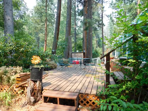 42491 Wilcox Rd, Hat Creek, CA 96040 photo 4
