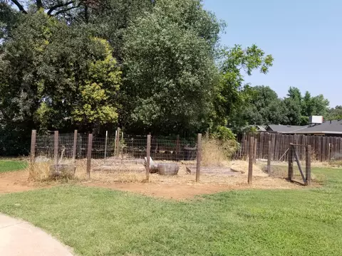 6742 Riata Dr, Redding, CA 96002 photo 15