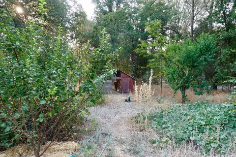 272 Branstetter Ln, Redding, CA 96001 photo 14