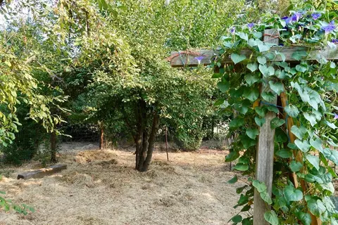 272 Branstetter Ln, Redding, CA 96001 photo 12
