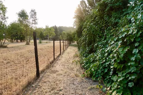 272 Branstetter Ln, Redding, CA 96001 photo 15