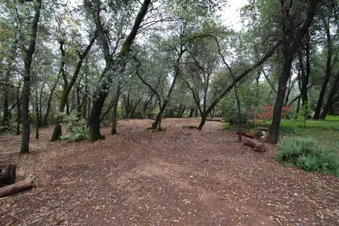 8157 Gold Run Rd, Redding, CA 96001 photo 29