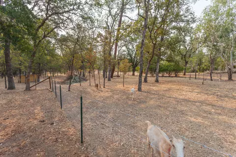11411 Suggie Ln, Redding, CA 96003 photo 19