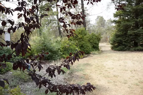 27054 Dersch Rd, Shingletown, CA 96088 photo 26