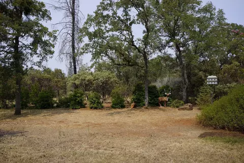27054 Dersch Rd, Shingletown, CA 96088 photo 19
