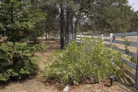 27054 Dersch Rd, Shingletown, CA 96088 photo 9