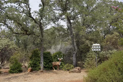 27054 Dersch Rd, Shingletown, CA 96088 photo 17