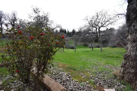 3712 Rosita Dr, Redding, CA 96001 photo 36