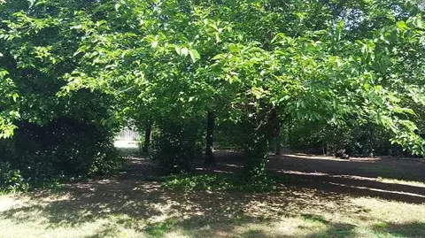 7193 Granada Dr, Redding, CA 96002 photo 17