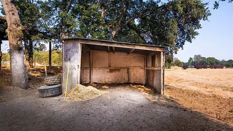 14869 Pleasant Valley Dr, Red Bluff, CA 96080 photo 31