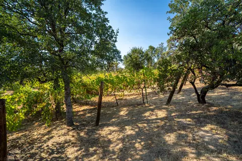 16288 Texas Springs Rd, Redding, CA 96001 photo 41