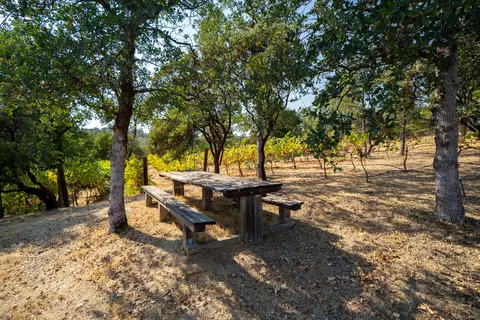 16288 Texas Springs Rd, Redding, CA 96001 photo 40