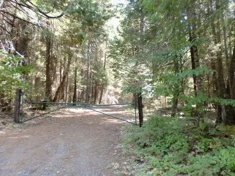 32951 Gray Squirrel Pl, Shingletown, CA 96088 photo 1