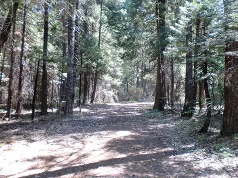 32951 Gray Squirrel Pl, Shingletown, CA 96088 photo 2