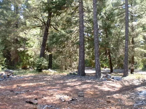 32951 Gray Squirrel Pl, Shingletown, CA 96088 photo 5