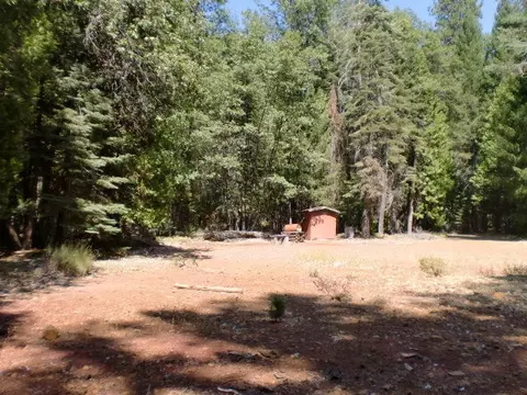 32951 Gray Squirrel Pl, Shingletown, CA 96088 photo 8