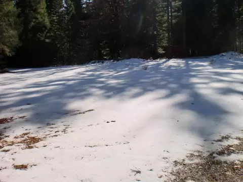 32951 Gray Squirrel Pl, Shingletown, CA 96088 photo 14