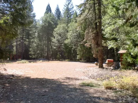 32951 Gray Squirrel Pl, Shingletown, CA 96088 photo 3