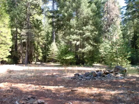 32951 Gray Squirrel Pl, Shingletown, CA 96088 photo 9