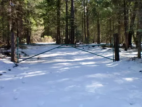 32951 Gray Squirrel Pl, Shingletown, CA 96088 photo 17