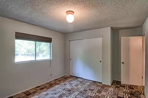 36933 Viola Dr, Shingletown, CA 96088 photo 25