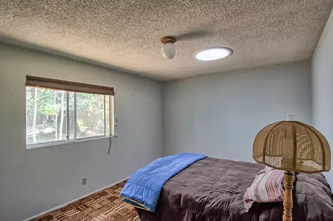 36933 Viola Dr, Shingletown, CA 96088 photo 21