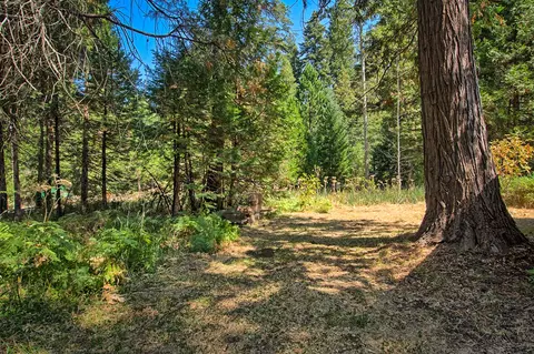 36933 Viola Dr, Shingletown, CA 96088 photo 5