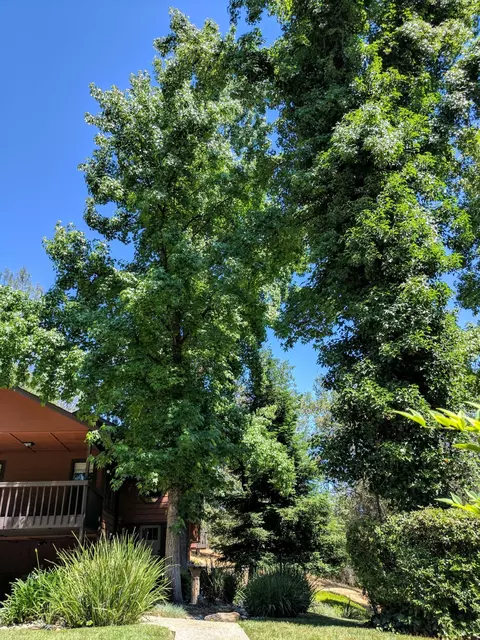 13533 Hanna Way, Redding, CA 96003 photo 27