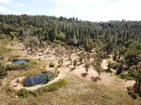 29322 Westmoore Rd, Shingletown, CA 96088 photo 14