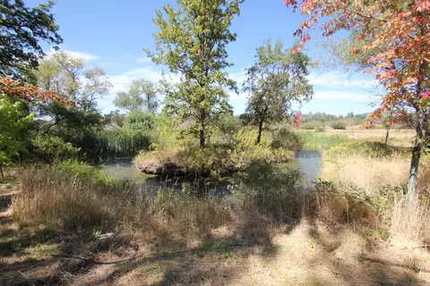 29322 Westmoore Rd, Shingletown, CA 96088 photo 51